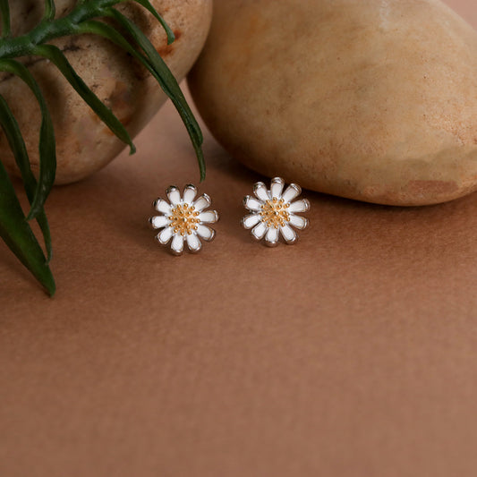 Daisy Studds-0